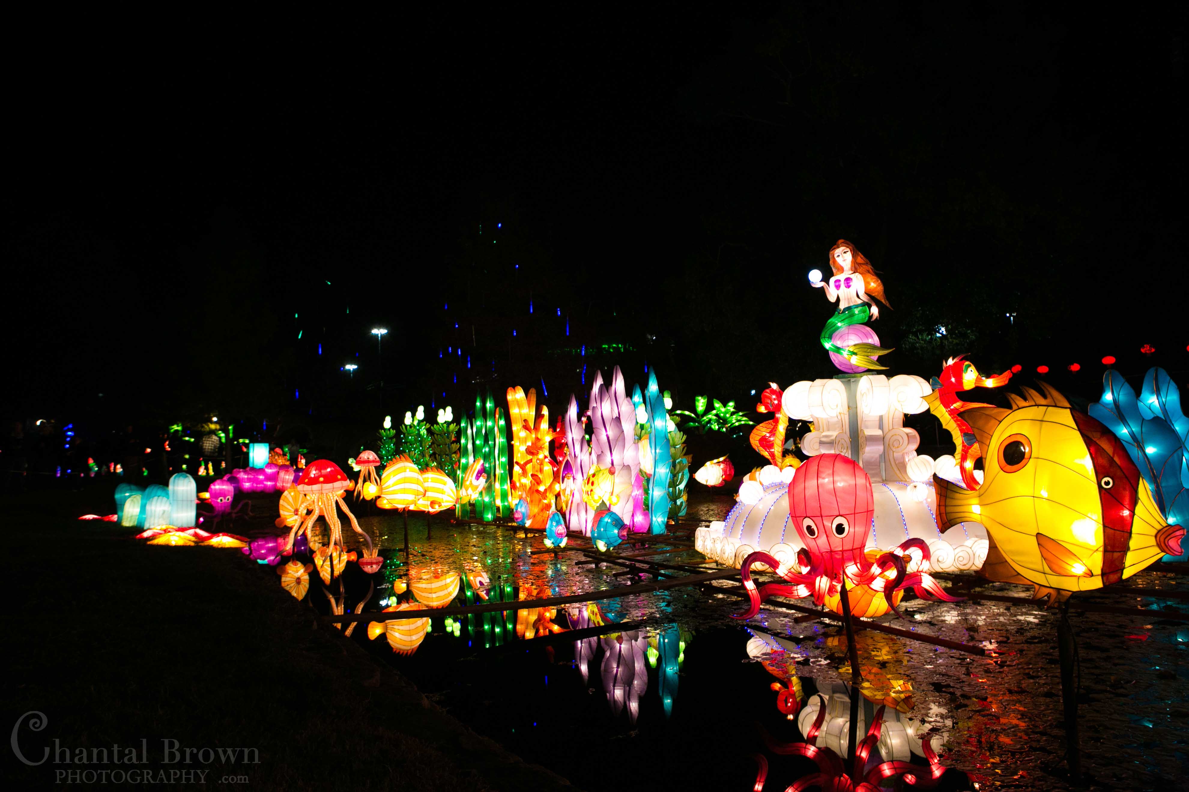 Colorful lights of Finding Nemo fish at Chinese Lantern Festival in Dallas Fair Park Photographer